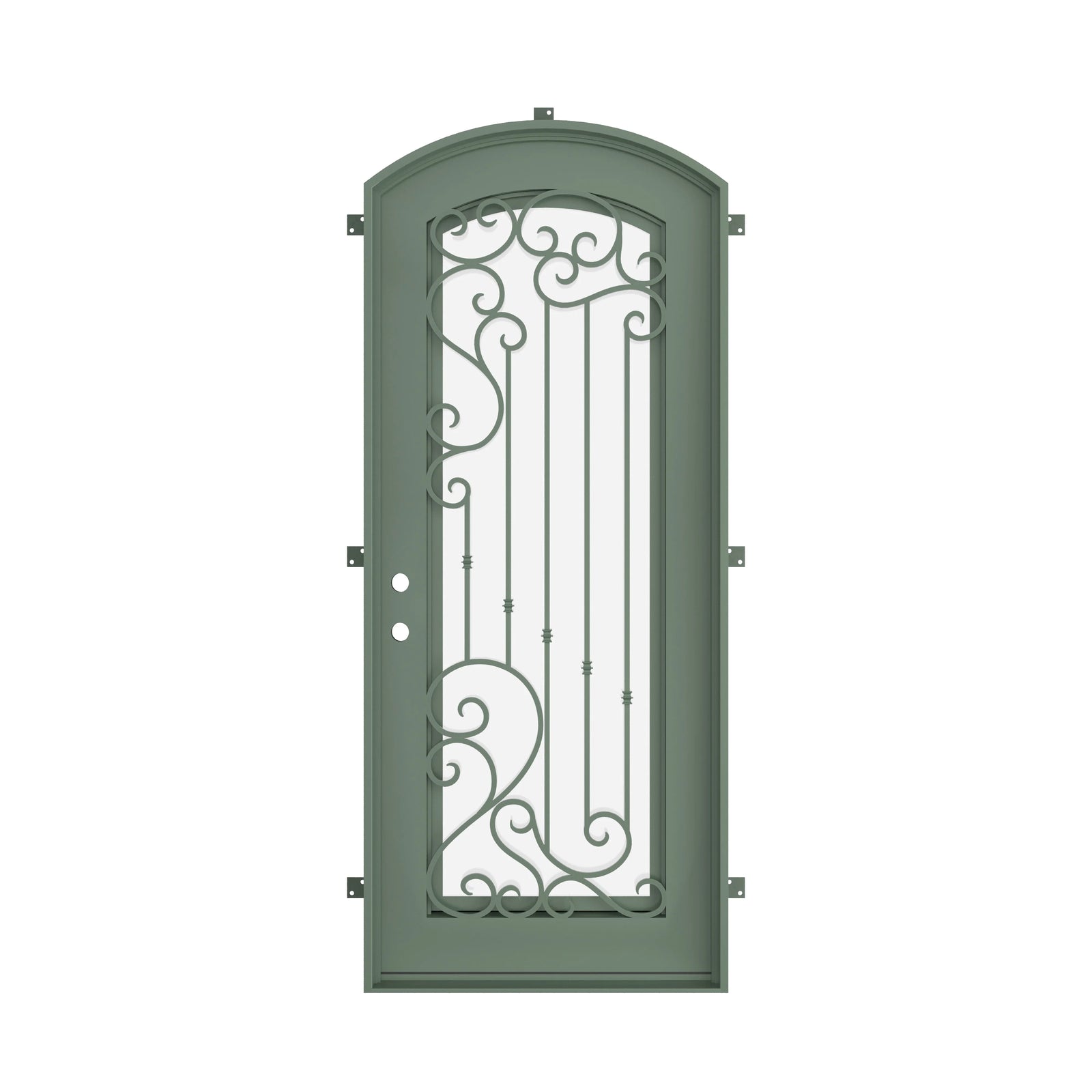 Pinkys Paris steel door, single, arch, closed