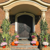 Beverly - Double Arch