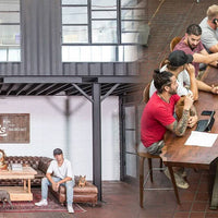 Standard - Single Flat by Pinky’s Iron Doors — home doors, view 3