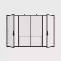 Air Grand - Dual Single with Middle Fixed Panel Flat | Standard Sizes by Pinky’s Iron Doors — home doors, view 6