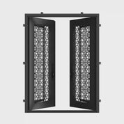 DNA door double flat steel front doors with modern architectural design