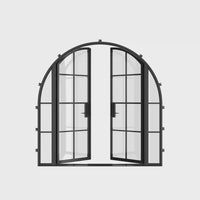 Air 5 with Side Windows - Double Full Arch by Pinky’s Iron Doors — home doors, view 6