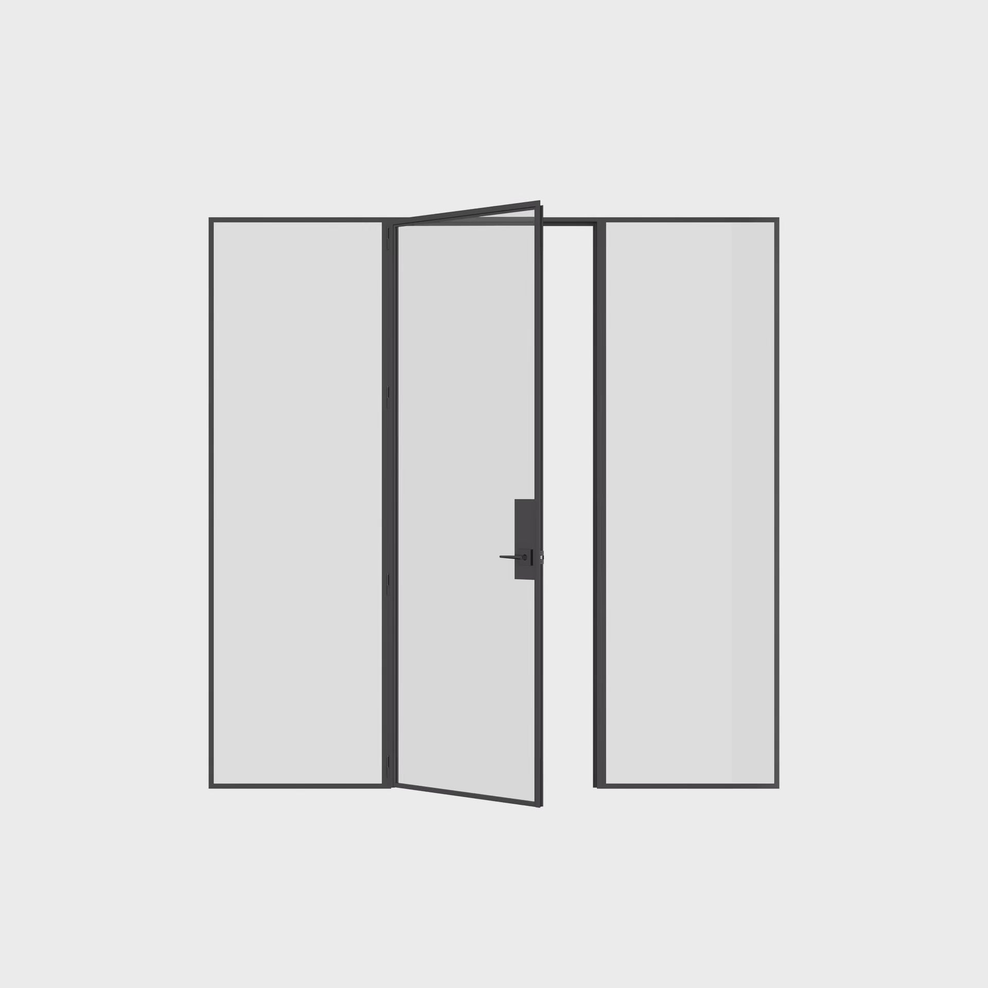 Solid steel single flat door with sidelights and precision-engineered modular system.