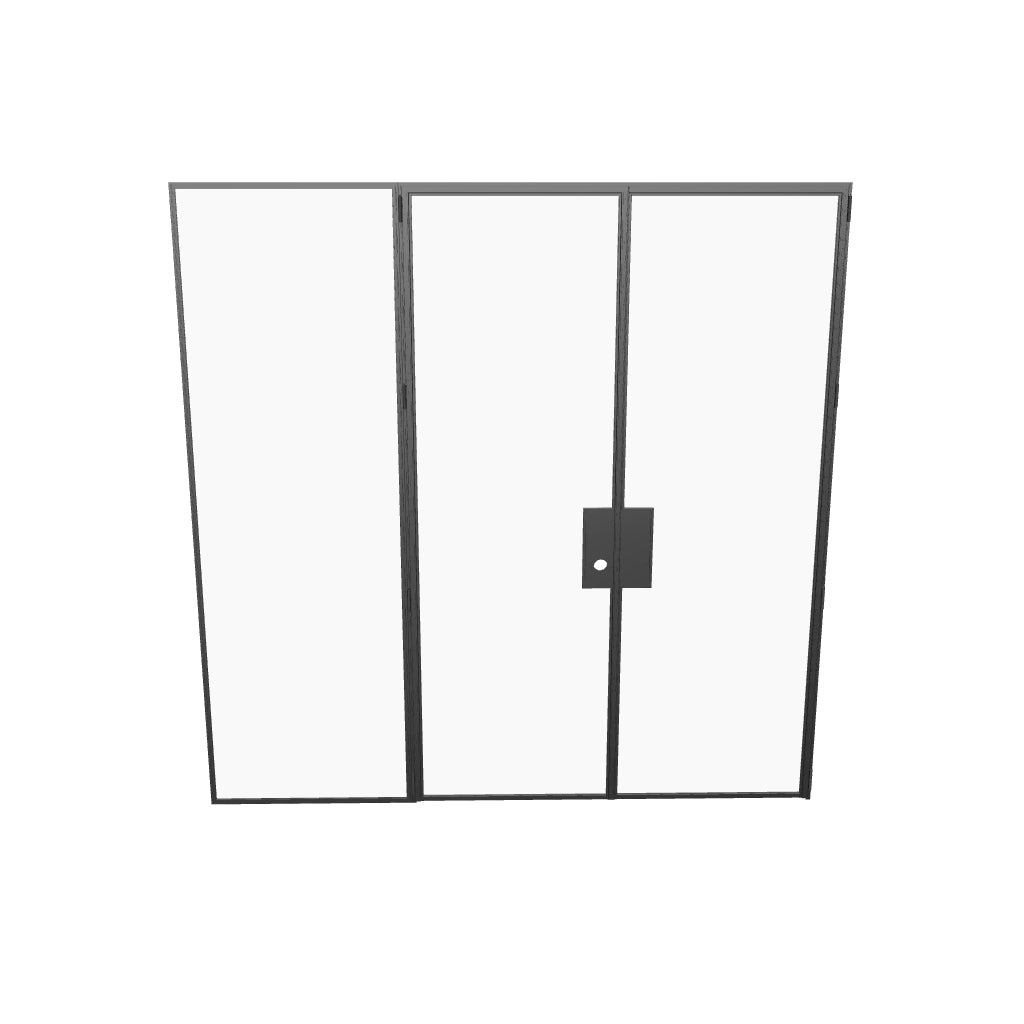 Slim-sightline double flat steel door with asymmetrical glass layout.