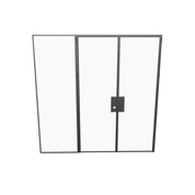 Slim-sightline double flat steel door with asymmetrical glass layout.