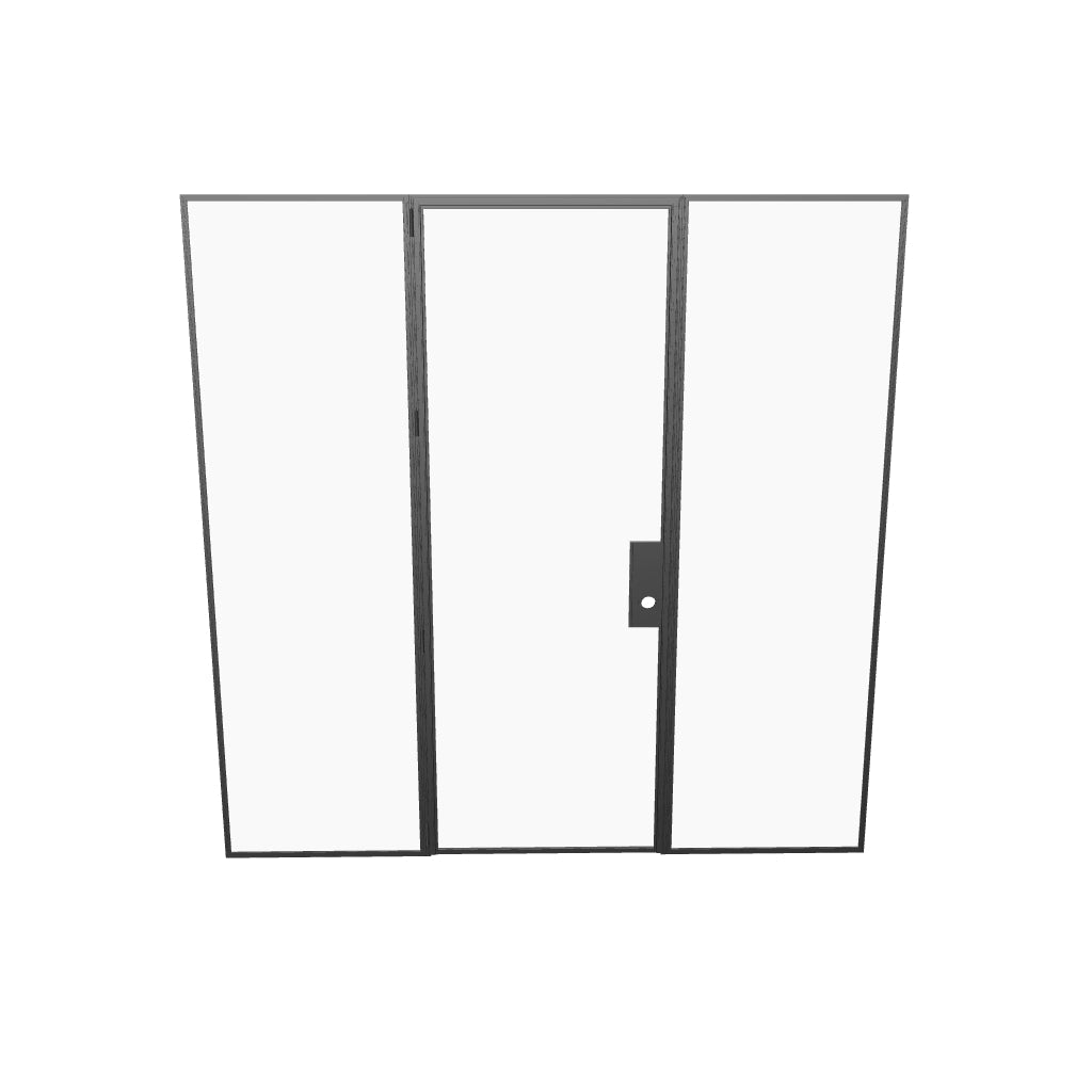 Narrow-sightline single flat steel door with side glass and modern architectural styling.