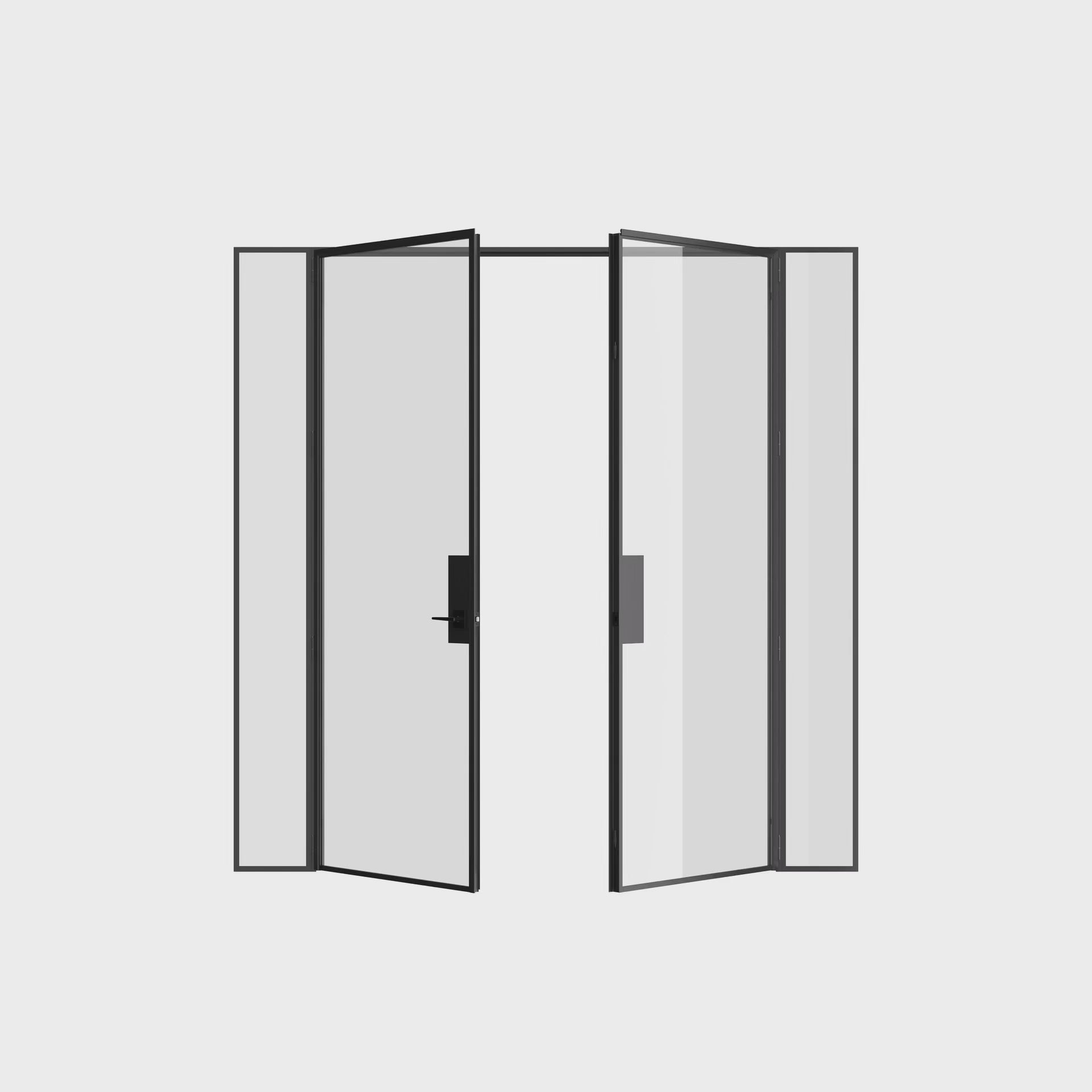 Double flat solid steel door with side windows and slim sightlines