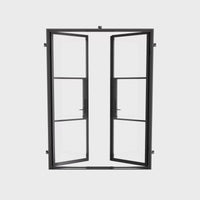 Contemporary double steel entry doors with glass panels and sleek handles