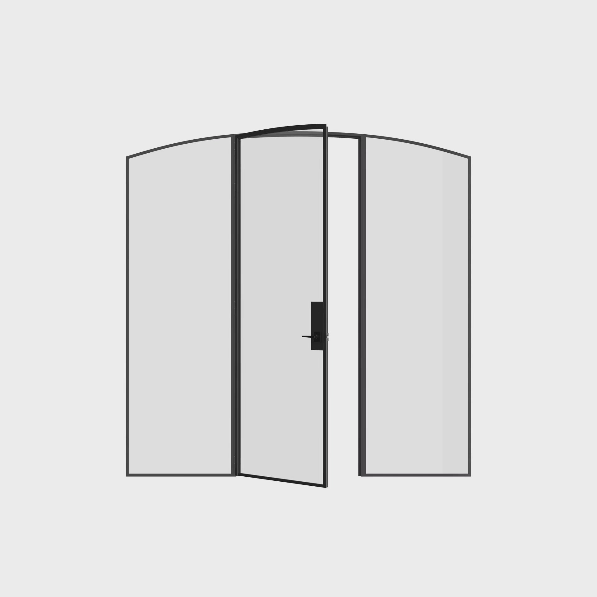 Pre-hung single arch steel door with sidelights and slim sightlines.