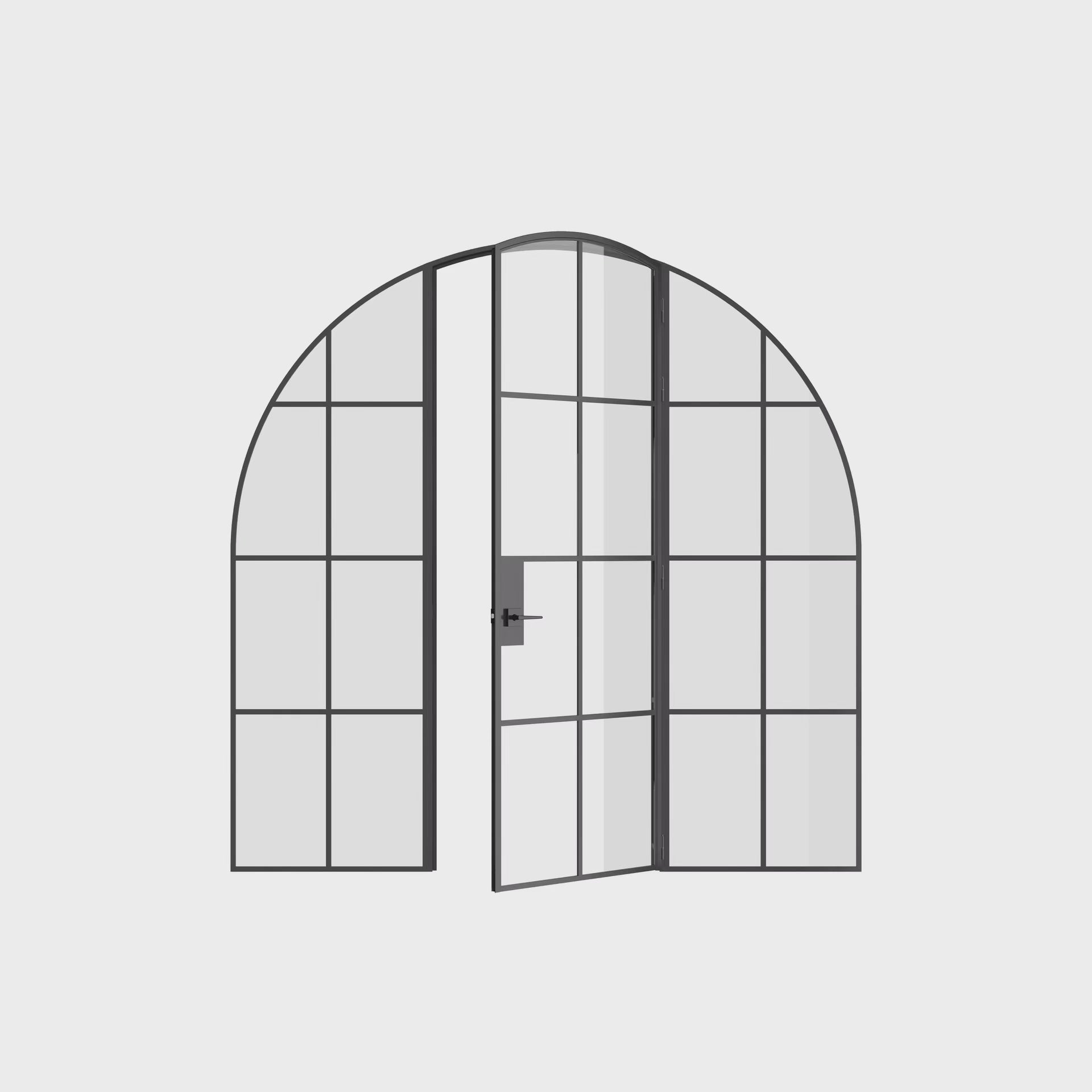 Interior single full arch black steel door with side windows