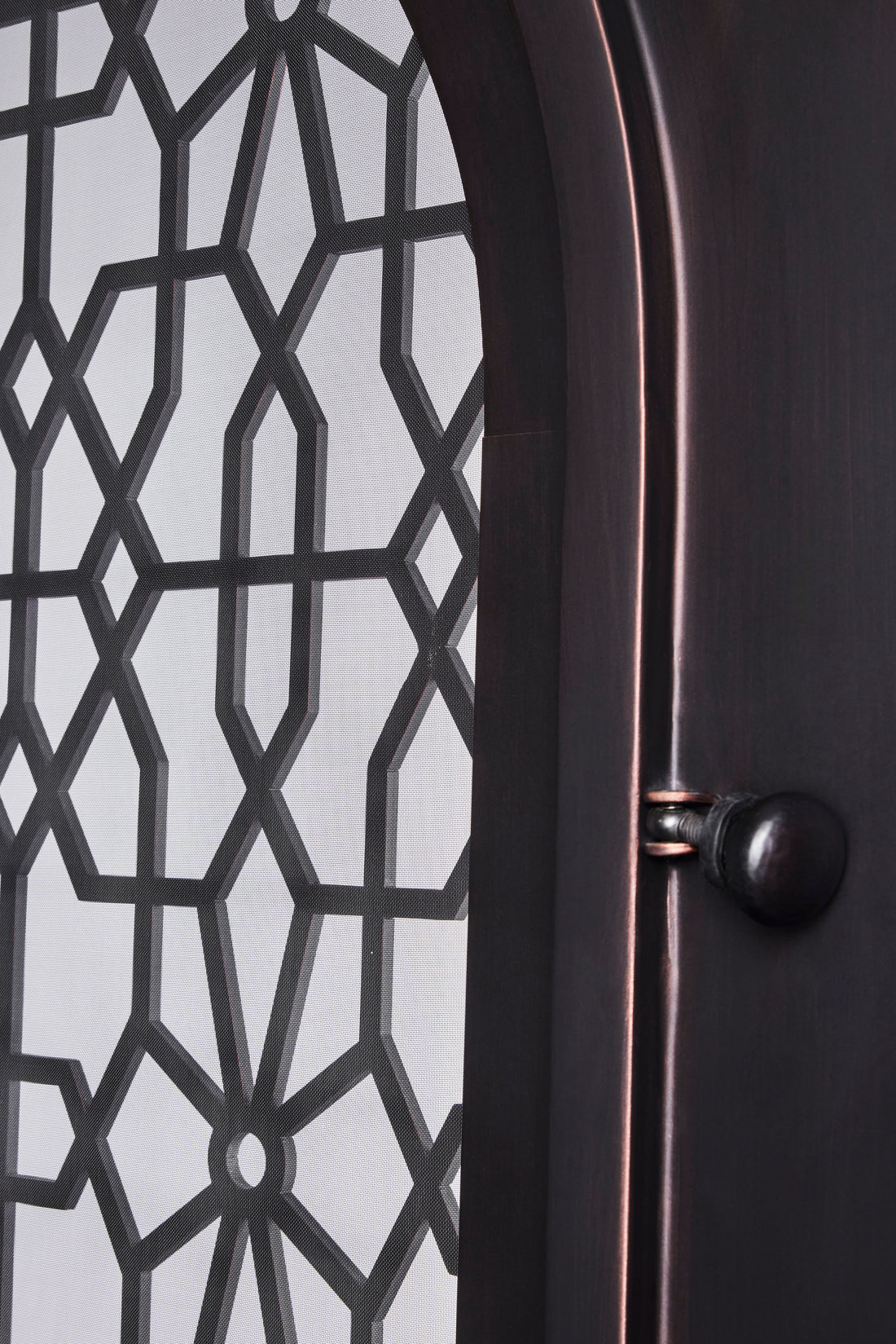 ornate iron door with operable glass panel hinges