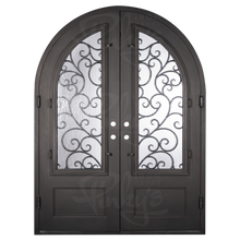 Load image into Gallery viewer, Iron Door with decorative design