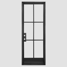 Load image into Gallery viewer, Single iron door with 6 panes of glass and a kickplate at the bottom. Door is thermally broken to protect from weather.