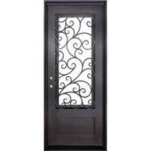 Load image into Gallery viewer, Single entryway door with a panel of glass behind iron detailing.