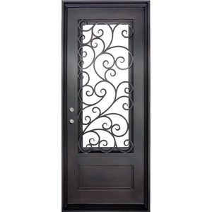 Single entryway door with a panel of glass behind iron detailing.