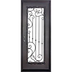 Single entryway door with a thick iron frame. Door features a full panel of glass behind iron detailing and is thermally broken to protect from extreme weather.
