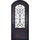 Single entryway door with a thick iron frame and intricate iron detailing behind a 3/4 pane of glass. Door features a slight arch and is thermally broken to protect from extreme weather.