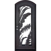 Palm architectural black iron single arch top door with thick glass panel.