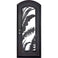 PINKYS Palm Black Steel Single Arch Door