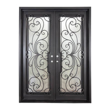 Load image into Gallery viewer, PINKYS Miracle Black Exterior Double Flat Steel Doors