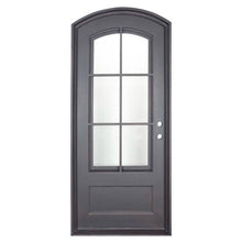 Load image into Gallery viewer, Single exterior door made of iron and steel featuring an 8-pane window on top with a slight arch and solid bottom. Door is thermally broken to protect from extreme weather.