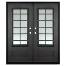 Load image into Gallery viewer, Double door made of iron and steel with a thick frame, a 12-pane window on each side and a solid bottom. Door is thermally broken to protect from extreme weather.