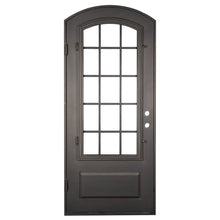 Load image into Gallery viewer, Single iron door with a thick frame, a single 15-pane window, slight arch and a solid bottom. Door is thermally broken to protect from extreme weather.