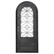 Baily black wrought iron single full arch door with dual-pane glass.