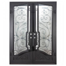 Load image into Gallery viewer, PINKYS Baily Black Steel Double Flat Doors