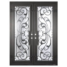 Load image into Gallery viewer, PINKYS Dream Black Steel Double Flat Doors