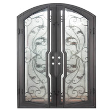 Load image into Gallery viewer, Double entryway doors made with a thick iron and steel frame and a full-length glass panel behind an intricate iron design.