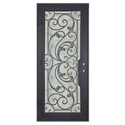 Dream Black exterior metal flat top single swing door with glass insert.