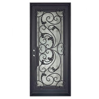Single entryway door made with a thick iron and steel frame and a full-length glass panel behind an intricate iron design.