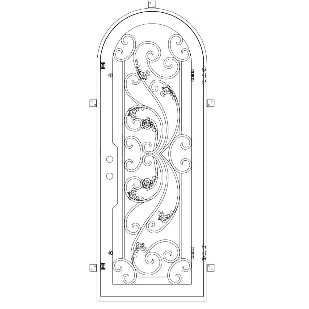 Single entryway door with a thick iron frame, a slight arch and a full panel of glass behind an intricate iron design.