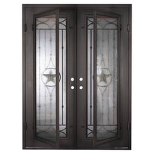Load image into Gallery viewer, PINKYS Lone Star Black Exterior Double Flat Steel Doors w/ Screen
