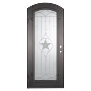 Lone Star black exterior iron single arch top door with decorative metalwork.