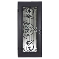 Single entryway door with a thick iron and steel frame and a full pane of glass behind intricate iron detailing.