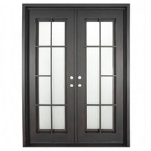 Load image into Gallery viewer, PINKYS Hollywood Black Exterior Double Flat Steel Doors