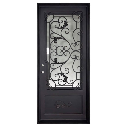 Single entryway door featuring a full pane of glass behind an intricate iron pattern on each door.