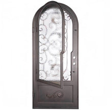 Load image into Gallery viewer, PINKYS Hope Black Iron Single Full Arch Door