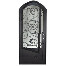 Load image into Gallery viewer, PINKYS Hope Black Steel Single Arch Doors