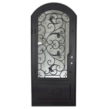 Load image into Gallery viewer, Single entryway door made with a thick iron and steel frame, a single paned window behind an intricate iron design, and a slight arch on top. Door is thermally broken to protect from extreme weather.