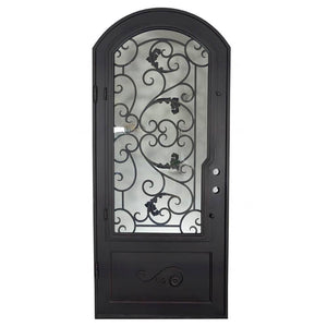 Single entryway door made with a thick iron and steel frame, a single paned window behind an intricate iron design, and a slight arch on top. Door is thermally broken to protect from extreme weather.