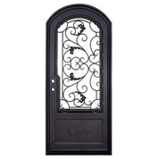 Hope single arch top hinged door with decorative metalwork.