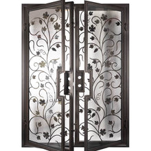 Load image into Gallery viewer, Double entryway doors made with a thick iron and steel frame, a single full pane of glass behind an intricate iron design on each door.