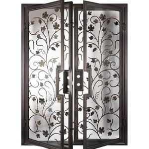 Double entryway doors made with a thick iron and steel frame, a single full pane of glass behind an intricate iron design on each door.