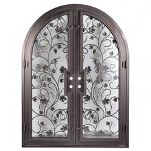 Load image into Gallery viewer, PINKYS June Black Steel Double Full Arch Doors