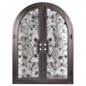 June thermally broken full arch top iron entry door with glass.