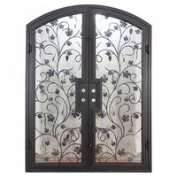 Double entryway doors made with a thick iron and steel frame, a single full pane of glass behind an intricate iron design on each door, and a slight arch on top.