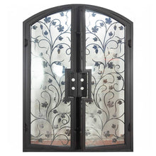 Load image into Gallery viewer, Double entryway doors made with a thick iron and steel frame, a single full pane of glass behind an intricate iron design on each door, and a slight arch on top.